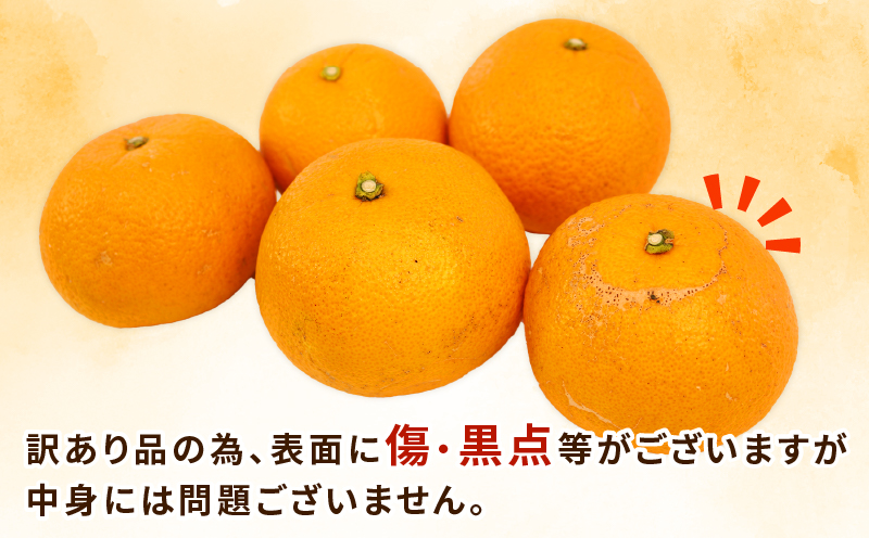 はっさく 訳あり 八朔 10~12kg 先行予約 ふるくとファーム かなこちゃんち 果物 くだもの フルーツ 柑橘 みかん 蜜柑 mikan わけあり 訳アリ 訳あり品 ビタミンC たっぷり 愛媛ミカン 愛媛蜜柑 愛媛みかん 農家直送 産地直送 数量限定 国産 愛媛 宇和島 B015-037003