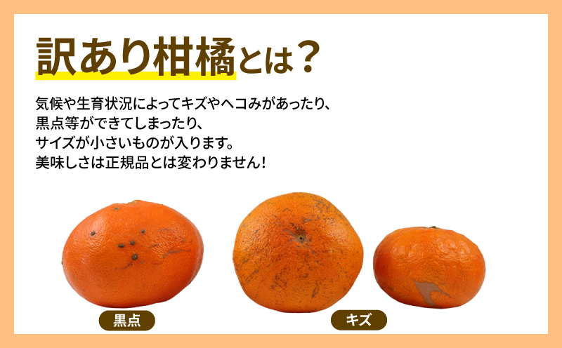 訳あり 甘平 5kg 玉津柑橘倶楽部 愛媛みかん 愛媛蜜柑 愛媛ミカン 完熟 高級 大粒 限定 品種 希少 ブランド シャキシャキ 玉津 みかん mikan 予約受付 果物 フルーツ 柑橘 濃厚 甘い 蜜柑 産地直送 数量限定 国産 愛媛 愛媛県産 宇和島 B015-072027