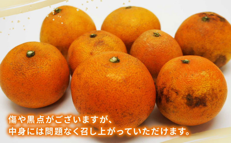 訳あり 愛果28号 5kg マル南フルーツ B015-106027