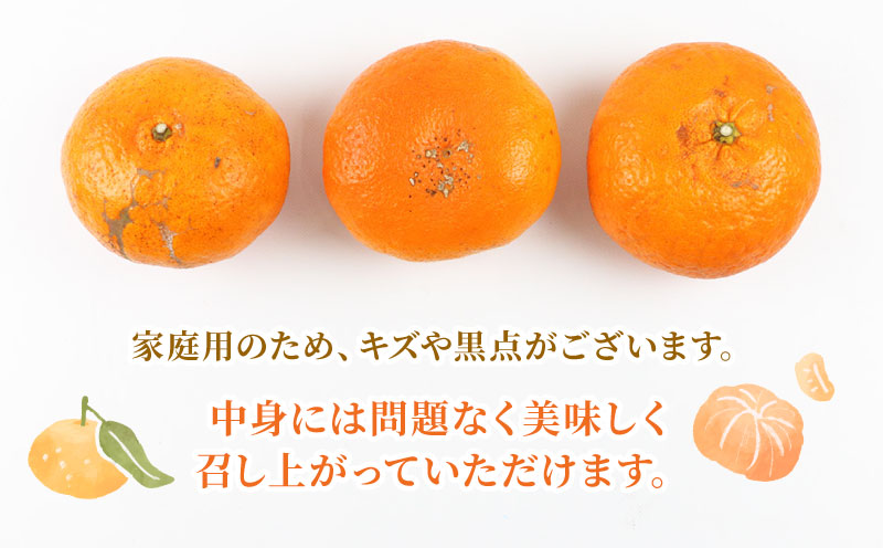 甘平 5kg 家庭用 矢野青果 先行予約 高級 希少 限定 品種 ブランド 高級柑橘 甘い シャキシャキ かんぺい 希少 果物 くだもの フルーツ 柑橘 みかん 蜜柑 愛媛蜜柑 愛媛みかん mikan 農家直送 産地直送 数量限定 国産 愛媛 愛媛県 宇和島 B015-171009