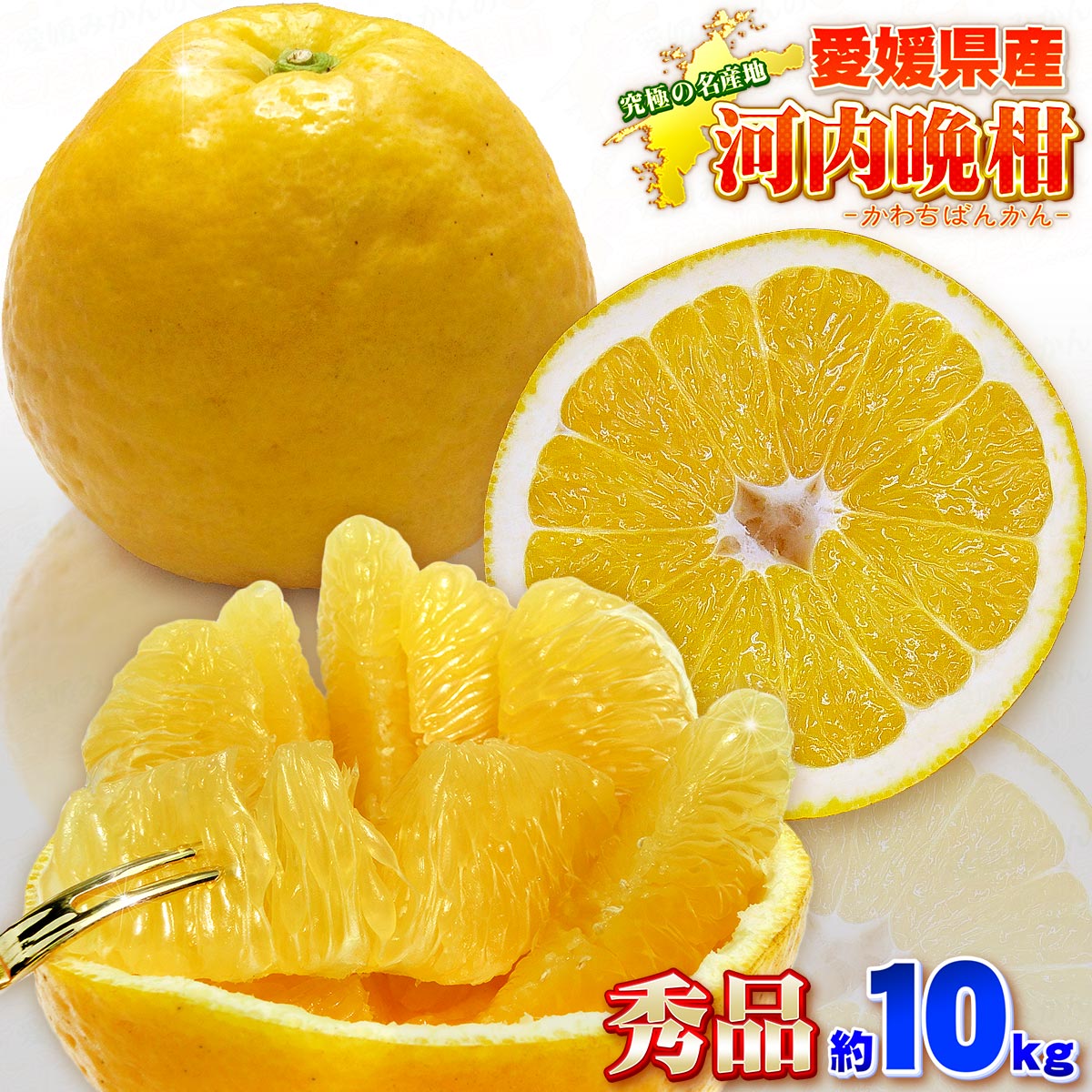 河内晩柑 贈答用 10kg L?2L 中井屋 果物 くだもの みかん 蜜柑 mikan フルーツ B015-173007