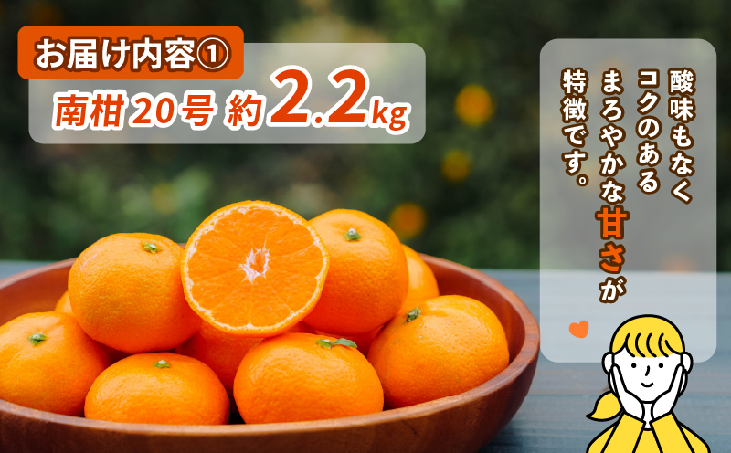 温州 みかん 2.2kg ジュース 720ml × 2本 セット コルレオファーム 先行予約 南柑20号 ミカン 蜜柑 愛媛みかん 愛媛ミカン 愛媛蜜柑 mikan 果物 くだもの フルーツ 柑橘 プレゼント 贈り物 贅沢 農家直送 産地直送 数量限定 愛媛 宇和島 B016-145015