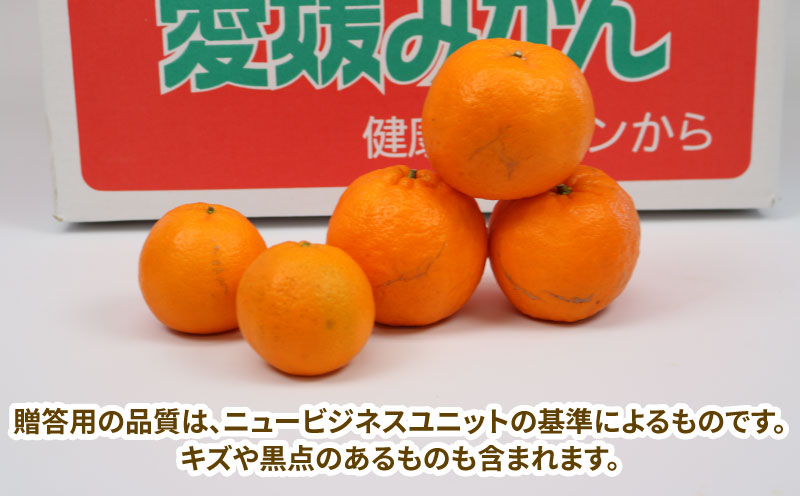 ポンカン 先行予約 贈答用 優品 9kg S~L サイズ ミックス 玉津みかん ニュービジネスユニット 甘い みかん ミカン 果物 くだもの フルーツ 柑橘 みかん 蜜柑 mikan 愛媛ミカン 愛媛蜜柑 愛媛みかん 農家直送 産地直送 数量限定 国産 愛媛 宇和島 B018-058006