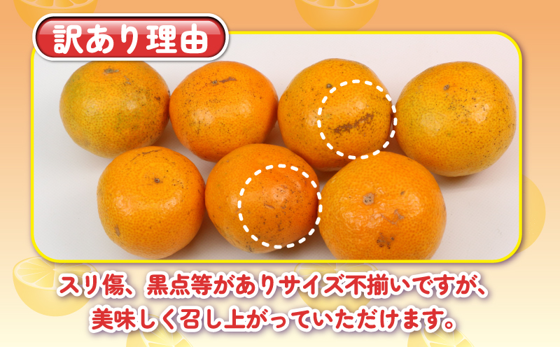 訳あり 南柑20号 みかん 10kg 杉本屋 わけあり 訳あり品 訳アリ 愛媛みかん 愛媛蜜柑 愛媛ミカン 温州 温州みかん 甘い 果物 くだもの フルーツ 柑橘 蜜柑 mikan 産地直送 数量限定 国産 愛媛 宇和島 B018-143028