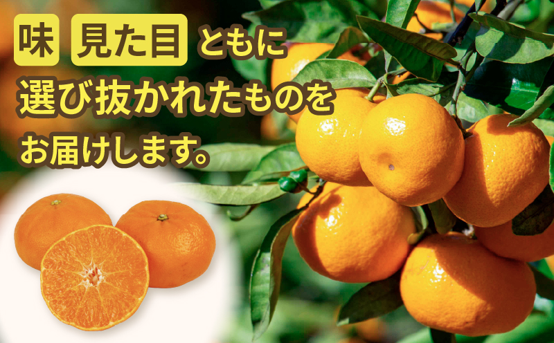 【先行予約】甘平 高級柑橘 2kg 贈答用 ハウス栽培  ハマみかん ハウス 蜜柑 mikan B020-075006