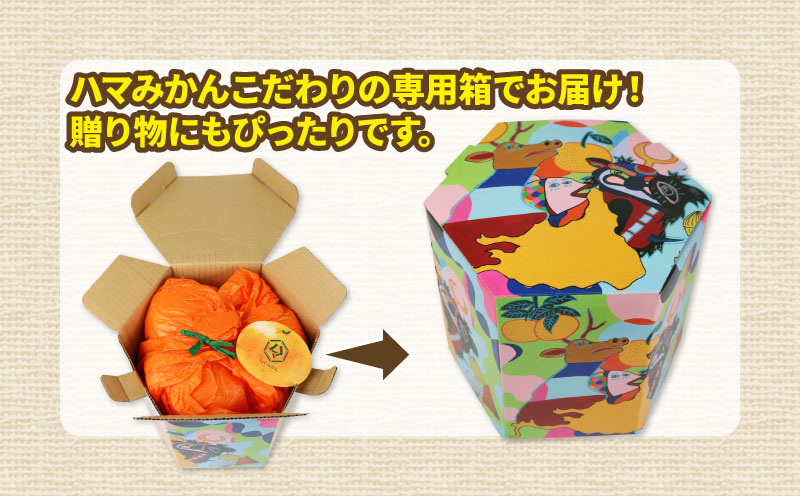 温室みかん 興津 早生 贈答用 2kg ハマみかん 先行予約 S~Mサイズ 温州みかん みかん 興津早生 早生温州 ハウス栽培 ハウスみかん ハウス蜜柑 果物 フルーツ 柑橘 蜜柑 愛媛蜜柑 愛媛みかん 農家直送 産地直送 数量限定 国産 愛媛 宇和島 B024-075008