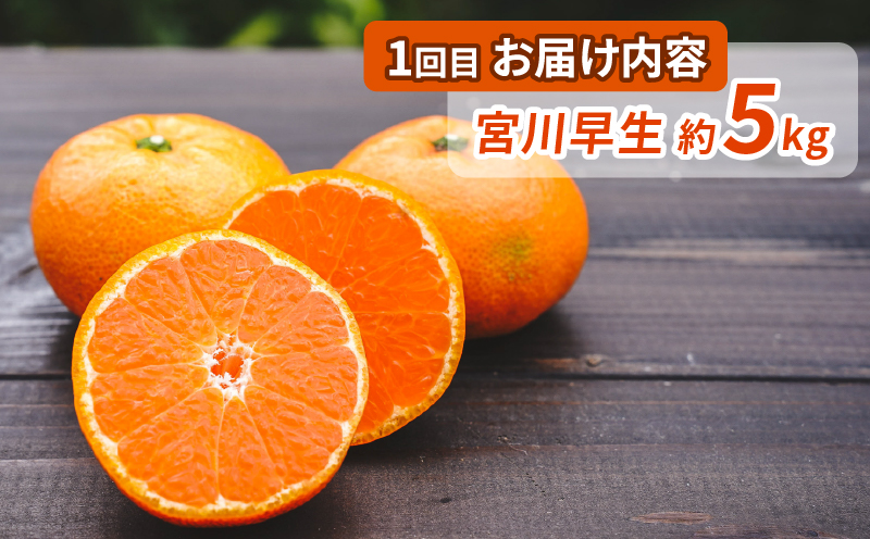 シトラス フルーツ 4回 定期便 コルレオファーム 宮川早生 南柑20号 ブラッドオレンジ モロ 甘平 はるか ポンカン タロッコ せとか 清見 不知火 詰め合わせ 愛媛ミカン 愛媛みかん みかん 柑橘 蜜柑 mikan 温州 果物 くだもの 温州蜜柑 産地直送 数量限定 先行予約 国産 愛媛 宇和島 B044-145018