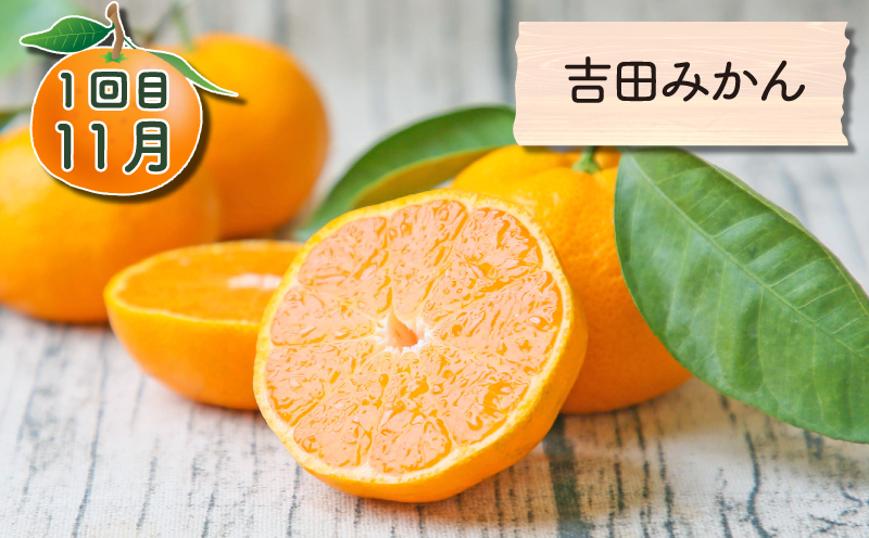 旬の柑橘 定期便 全4回 吉田みかん 愛果28号 ポンカン おまかせ詰合せ フレッシュつちやま  果物 フルーツ 柑橘 みかん 農家直送 産地直送 数量限定 国産 愛媛 宇和島 B048-096020