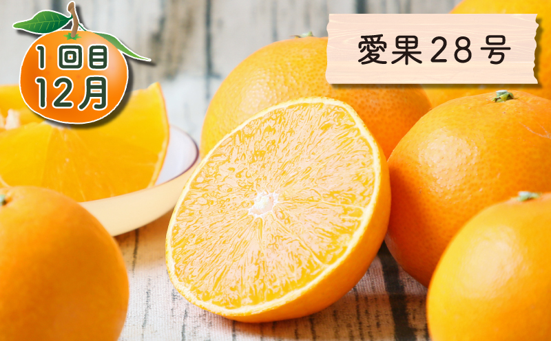 旬の柑橘 定期便 全4回 愛果28号 ポンカン おまかせ詰合せ 黄金柑 フレッシュつちやま  果物 フルーツ 柑橘 みかん 農家直送 産地直送 数量限定 国産 愛媛 宇和島 B048-096021