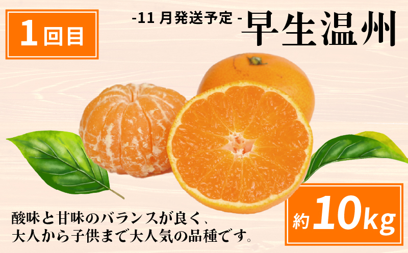 愛媛みかん えひめの旬の柑橘 産地直送 4回 定期便 えひめ南農業協同組合直販センター JA 早生温州 南柑20号 ポンカン 約10kg デコポン 約5kg 蜜柑 みかん mikan 果物 くだもの フルーツ 柑橘 愛媛蜜柑 農家直送 産地直送 数量限定 国産 愛媛 宇和島 B080-009011