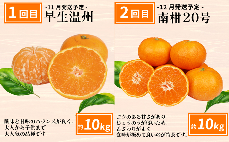 愛媛みかん えひめの旬の柑橘 産地直送 6回 定期便 えひめ南農業協同組合直販センター JA 早生温州 南柑20号 ポンカン 約10kg デコポン 約5kg 河内晩柑 約8kg ひめのつき ブラッドオレンジ ジュース セット 6本 蜜柑 みかん mikan 果物 くだもの フルーツ 柑橘 愛媛蜜柑 農家直送 産地直送 数量限定 国産 愛媛 宇和島 B120-009012