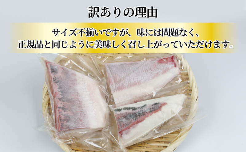 【産地直送】 ブリ 訳あり ブロックカット  600g オンスイ 鰤 buri 人気 刺身 D010-159008