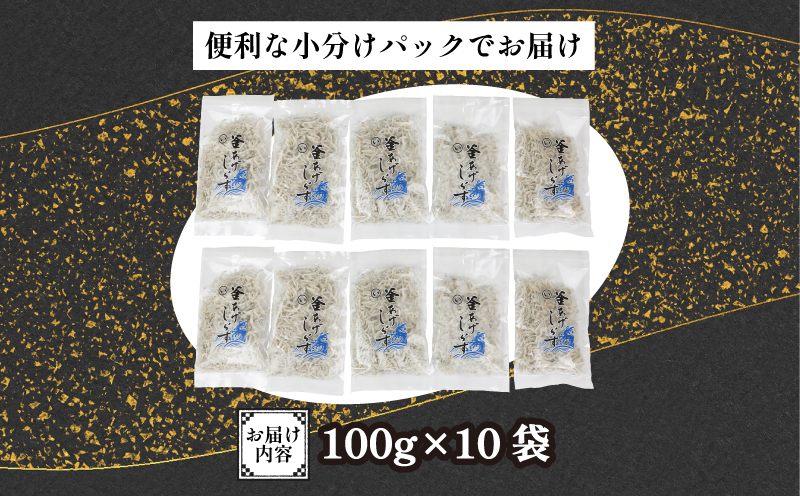 【小分けで便利！】 シラス 釜揚げしらす 100g × 10袋 計 1kg 時栄水産 冷凍 sirasu 小魚 じゃこ 干し 人気 水産 加工品 かまあげ D010-174001