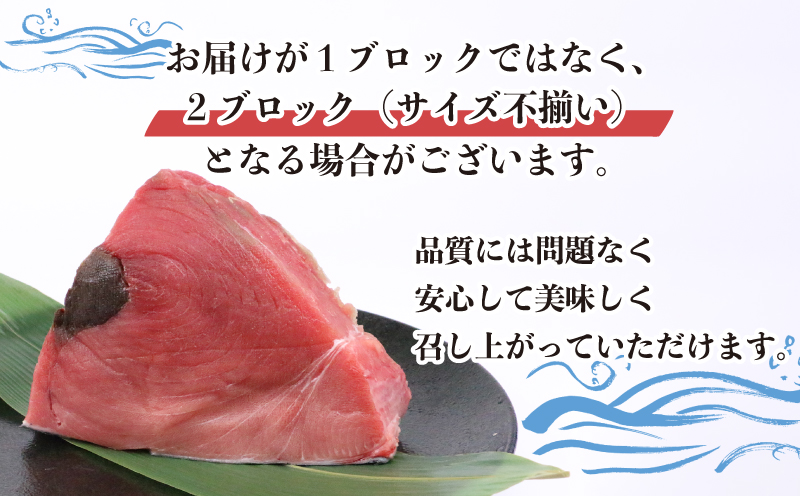 【2025年12月3日発送】訳あり 本マグロ ブロック 450～600g 媛まぐろ ダイニチ 鮪 刺身 国産マグロ 養殖マグロ 本鮪 クロマグロ マグロ 赤身 中トロ 大トロ 部位 指定不可 漬け ネギトロ アレンジ 訳アリ 訳あり品 訳有り わけあり 人気 海鮮 海の幸 魚 魚介 産地直送 数量限定 国産 愛媛 宇和島 D011-031005-251203