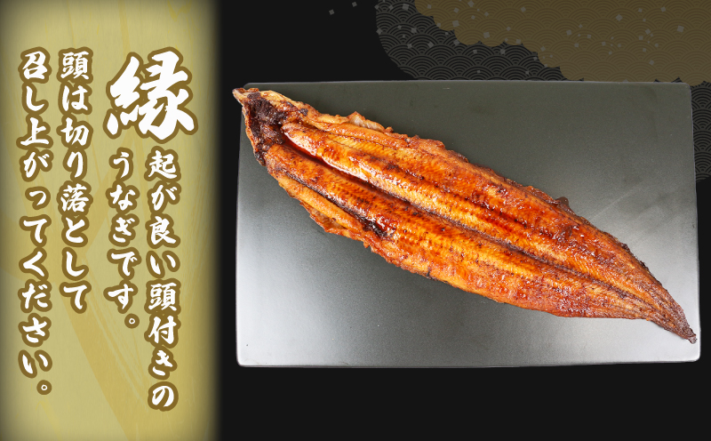 うなぎ国産 うなぎ蒲焼 170 ~ 180g 1尾 タレ付き タレ 蜂蜜 入り 河野鮮魚店 手作り 高級 鰻 うなぎ ウナギ unagi 養殖 本格 鰻蒲焼 国産鰻 国産ウナギ 頭付き 蒲焼 蒲焼き 国産うなぎ うな重 ひつまぶし 冷凍 パック 国産 愛媛 宇和島 D015-177002