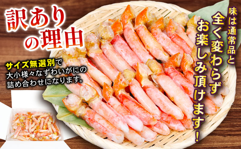 【12/15決済完了分まで年内発送】 カニ 蟹 訳あり ボイル 本ずわいがに 爪下むき身 約 1kg 本ズワイガニ ニューバーク kani 冷凍 訳アリ わけあり 訳あり品 ずわいがに カニ ズワイガニ ずわい蟹 ズワイ蟹 蟹 カニ脚 蟹脚 カニ棒肉 蟹 カニしゃぶ 人気のカニ ポーション 人気 カニ鍋 蟹鍋 鍋 愛媛 宇和島 D016-116019