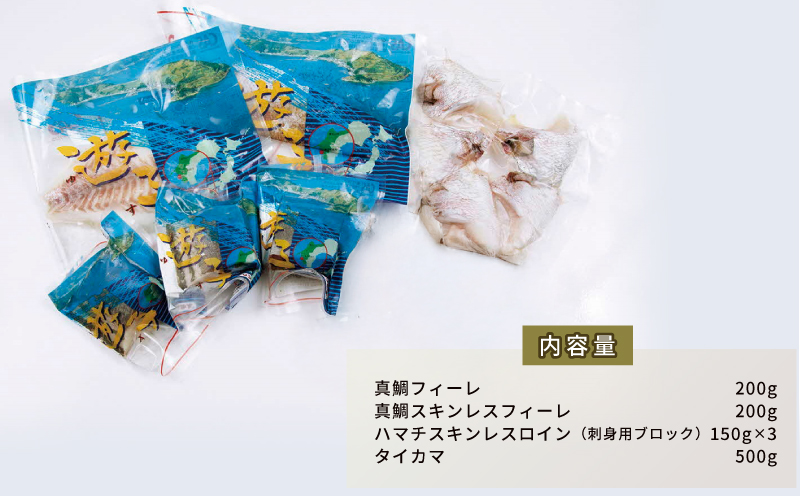 真鯛 ハマチ タイカマ 海の幸 セット A 愛媛県漁業協同組合遊子支所 遊子 鯛 タイ マダイ 出世魚 ブリ 鰤 刺身 お刺身 刺し身 お刺し身 フィーレ ブロック 加工 海の幸セット 魚 しゃぶしゃぶ たたき アレンジ 冷凍 産地直送 国産 愛媛 宇和島 D018-022001