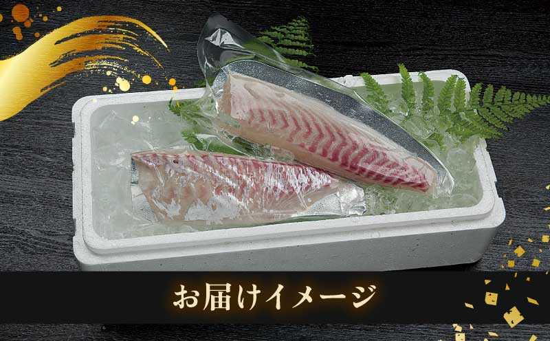 真鯛 タイ 短冊 1尾分 約700g 有限会社 アクアプラス ブランド魚 伊達真鯛 ブランド 鯛 たい マダイ タイ tai 刺身 刺し身 お刺身 お刺し身 さしみ 海鮮丼 丼 丼ぶり どんぶり カルパッチョ サラダ しゃぶしゃぶ おすすめ 産地直送 真空パック お手軽 便利 海鮮 水産 加工品 食品 冷蔵 国産 愛媛 宇和島 D020-090002