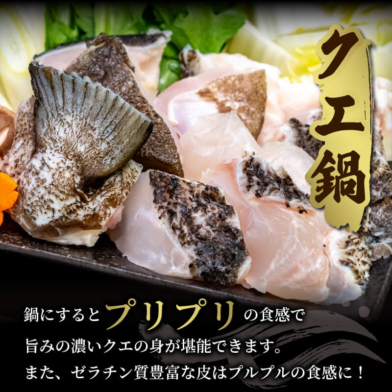 クエ 鍋用 650g ( 切り身 300g アラ350g ) クエ鍋セット 南予ビージョイ kue 産地直送 クエ鍋 超高級魚 お取り寄せ 新鮮 鍋 海鮮鍋 唐揚げ フライ 冷凍 流水解凍 鮮魚 海の幸 魚介 国産 愛媛 宇和島 D022-150013