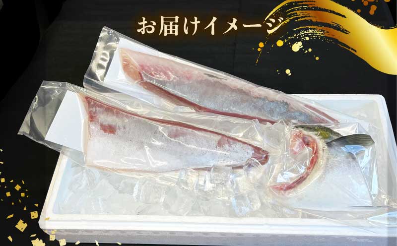 ブリ 冊 半身分 約 1.2kg 短冊 有限会社 アクアプラス ブランド魚 鰤 ブランド ぶり buri 刺身 刺し身 お刺身 お刺し身 さしみ 海鮮丼 丼 丼ぶり どんぶり カルパッチョ サラダ しゃぶしゃぶ おすすめ 産地直送 真空パック お手軽 便利 海鮮 水産 加工品 食品 冷蔵 国産 愛媛 宇和島 D030-090003