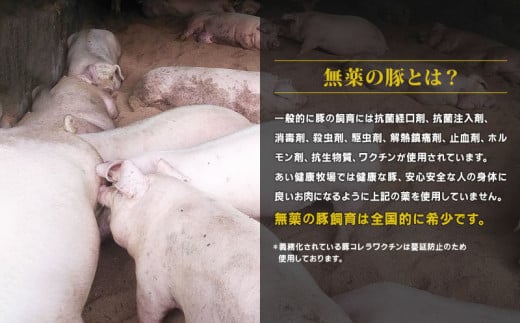 ミックス ミンチ 約 500g × 2袋 計 1kg 無薬 あい健康豚 あい健康牧場 niku 豚 豚肉 ぶた ぶたにく ブランド豚 真空パック 豚挽き肉 豚挽肉 挽肉 挽き肉 ひき肉 小分け お肉 肉 冷凍 農家直送 産地直送 国産 愛媛 宇和島 E012-154007