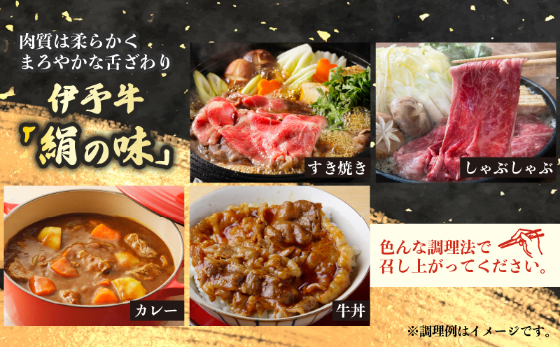 国産牛 肩ロース スライス 500g 伊予牛 「 絹の味 」 氏原精肉店 牛 牛肉 ぎゅうにく お肉 肉 肩肉 ブランド牛 高級 niku にく おにく すき焼き すきやき しゃぶしゃぶ 鍋 焼肉 牛丼 カレー アレンジ 美味しい 冷凍 産地直送 数量限定 特産品 国産 愛媛 宇和島 E020-190003