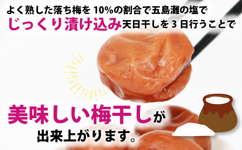 【数量限定】 梅干し しそ漬け 完熟 南高 1.3kg 夢萬開 先行予約 うめぼし 干し 手作り ume ウメ F010-105001