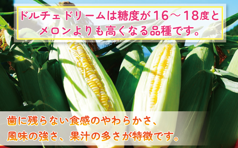 とうもろこし スイートコーン ドルチェドリーム約5kg あかだ農園 朝採れ 甘い 採れたて コーン とうきび 夏野菜 旬 高糖度 甘い 野菜 やさい 数量限定 産地直送 農家直送 国産 愛媛 宇和島 F010-137002