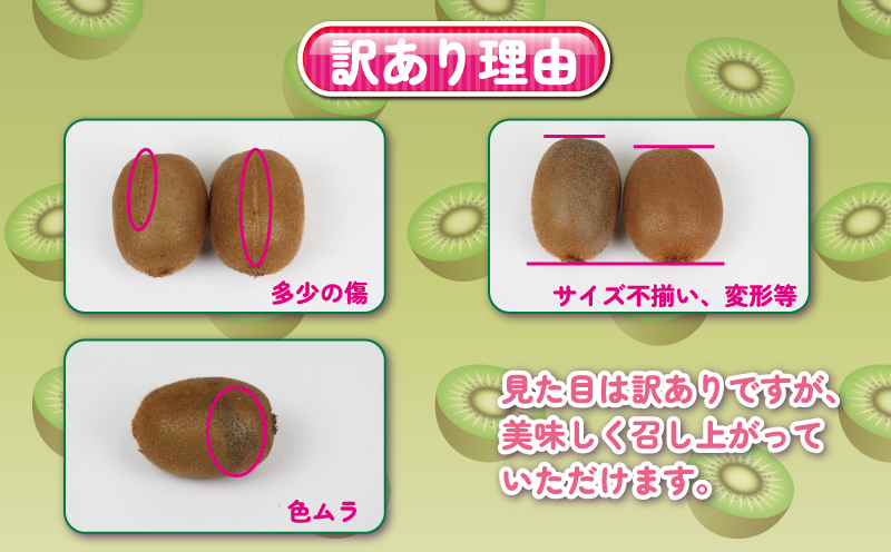 訳あり キウイ フルーツ 4kg  杉本屋 わけあり グリーンキウイ ヘイワード キウイフルーツ デザート スイーツ 先行予約 果物 くだもの サイズ 不揃い 訳アリ 訳あり品 訳有り 朝食 愛媛県産 愛媛県産キウイ キウィ キウィフルーツ 産地直送 数量限定 国産 愛媛 宇和島 F010-143002