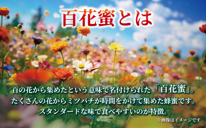 百花蜜 300g 元気や はちみつ 国産はちみつ 百花蜂蜜 純粋はちみつ 生はちみつ 蜂蜜 honey 国産蜂蜜 純粋蜂蜜 天然はちみつ 数量限定 産地直送 国産 愛媛 宇和島 F010-176016