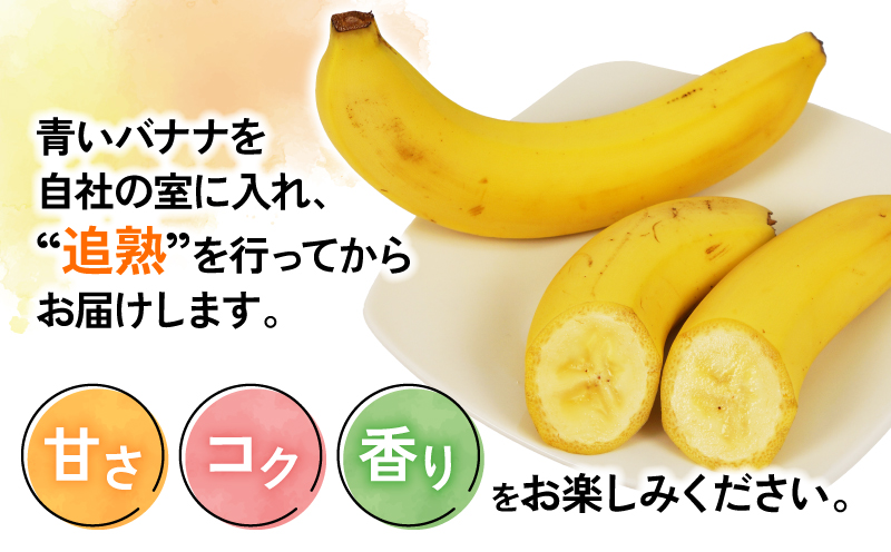 バナナ 熟サンテーラバナナ 計 約3kg ( 600g以上 × 5袋 ) 徳田青果 果物 くだもの フルーツ ばなな トロピカルフルーツ 南国フルーツ 熟成バナナ 甘い コク 香り 希少 朝食 おやつ スムージー 手軽 簡単 お取り寄せ 愛媛 宇和島 F010-194001