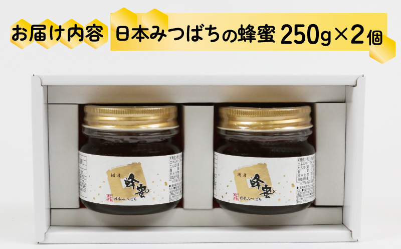 【国産はちみつ】 日本みつばち の 蜂蜜 250g × 2個 セット honey 非加熱 ハチミツ 宇和島農産 F020-132002