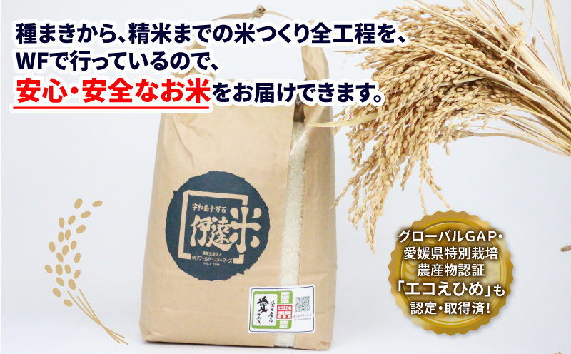 新米 特別栽培 コシヒカリ 5kg 令和7年度産 先行予約 伊達米 グローバルGAP取得 ワールドファーマーズ お米 米 ごはん ブランド米 特別栽培米 美味しい お弁当 弁当 おにぎり ふっくら ツヤツヤ 甘い 農家直送 産地直送 数量限定 国産 愛媛 宇和島 G015-024011