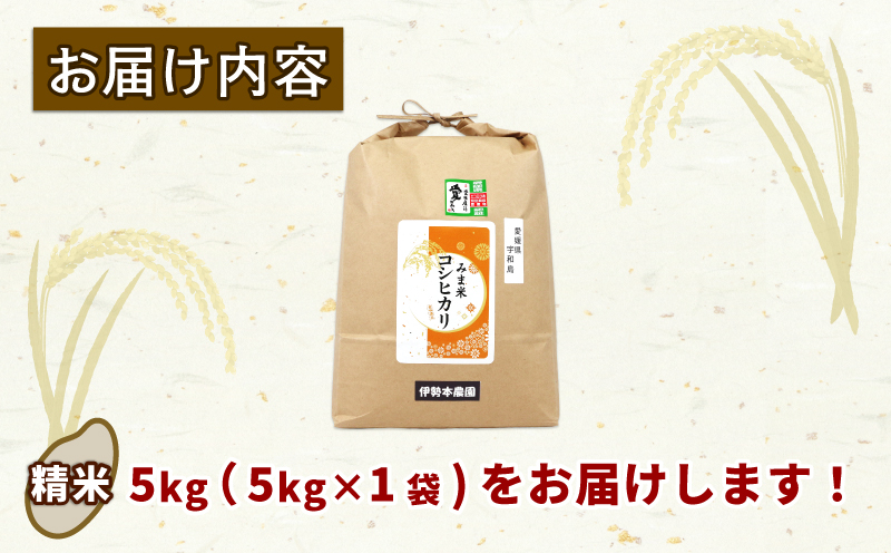 特別栽培米 新米 三間米 コシヒカリ 5kg 伊勢本農園 特別栽培 米 お米 おこめ ごはん こめ コメ ※ kome 白米 精米 お弁当 ブランド米 ふっくら ツヤツヤ 甘い 粘り 美味しい ライス 農家直送 産地直送 数量限定 国産 愛媛 宇和島 G015-146001