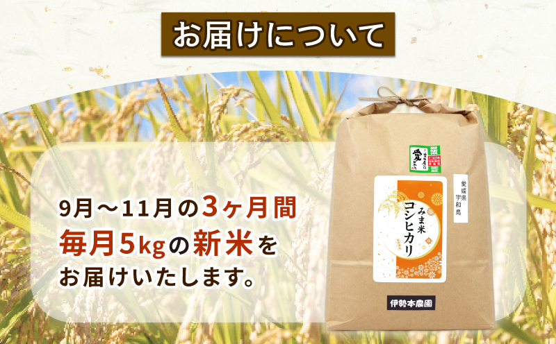 新米 定期便 3回 計15kg 先行予約 特別栽培米 三間米 コシヒカリ 5kg ×3回 伊勢本農園 特別栽培 米 お米 おこめ ごはん こめ コメ ※ kome 白米 精米 お弁当 ブランド米 ふっくら ライス 農家直送 産地直送 数量限定 国産 愛媛 宇和島 G045-146004