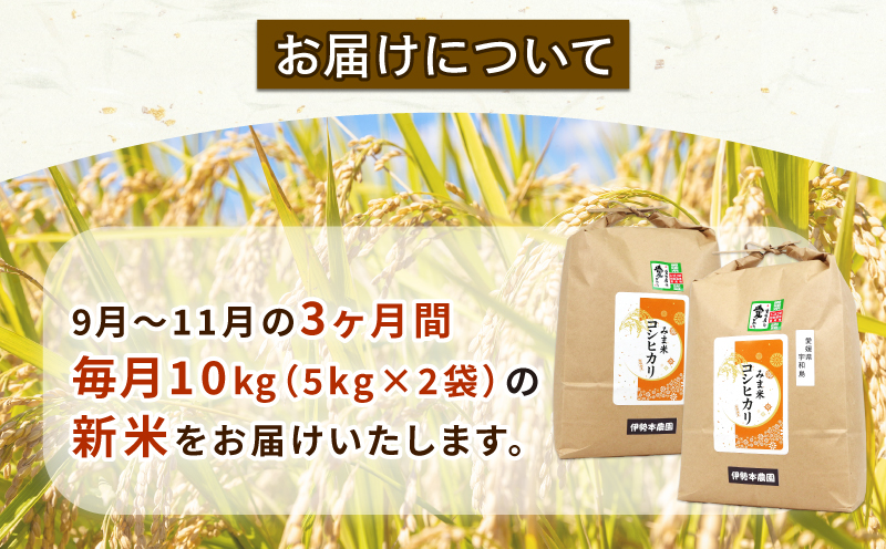 新米 定期便 3回 計30kg 先行予約 特別栽培米 三間米 コシヒカリ 10kg × 3回 伊勢本農園 特別栽培 米 お米 おこめ ごはん こめ コメ ※ kome 白米 精米 お弁当 ブランド米 ふっくら ライス 農家直送 産地直送 数量限定 国産 愛媛 宇和島 G090-146005
