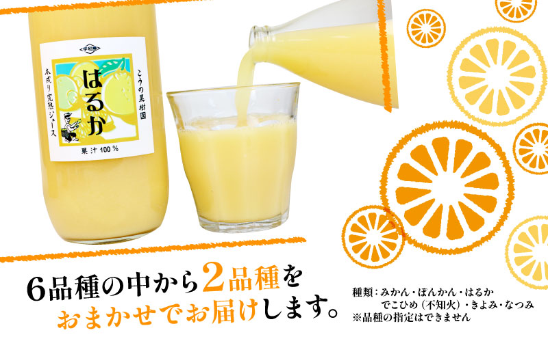 完熟 みかんジュース 化粧箱入り 木成り 2本セット 1000ml×2本 こうの果樹園 みかん ジュース ストレート ストレートジュース 100%ジュース 果汁 飲料 フルーツ 100％ 甘い さっぱり 蜜柑 ギフト 産地直送 数量限定 国産 愛媛 宇和島 H012-182001