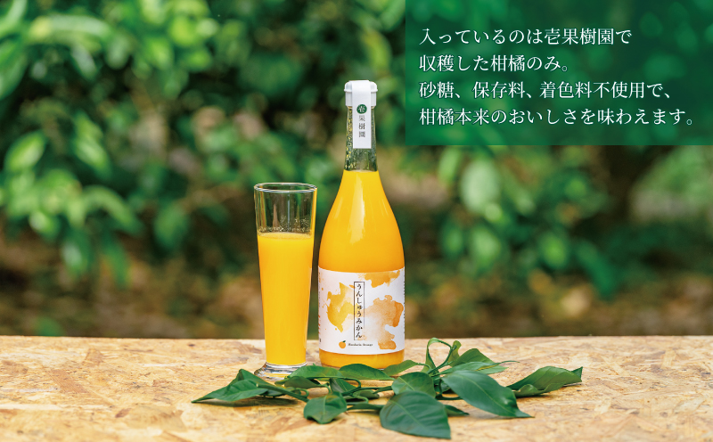 愛媛 の 柑橘 ジュース 720ml 2本 セット 壱果樹園 先行予約 みかん 温州みかん ストレートジュース 100% 果汁 飲料 ギフト 果物 フルーツ 国産 愛媛 宇和島 H015-141001