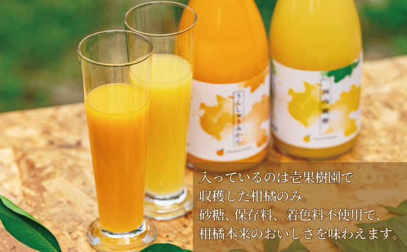 愛媛 の 柑橘 ジュース 720ml 2本 セット 壱果樹園 先行予約 みかん 河内晩柑 温州 ストレートジュース 100% 果汁 飲料 オレンジジュース 国産 愛媛 宇和島 H015-141002