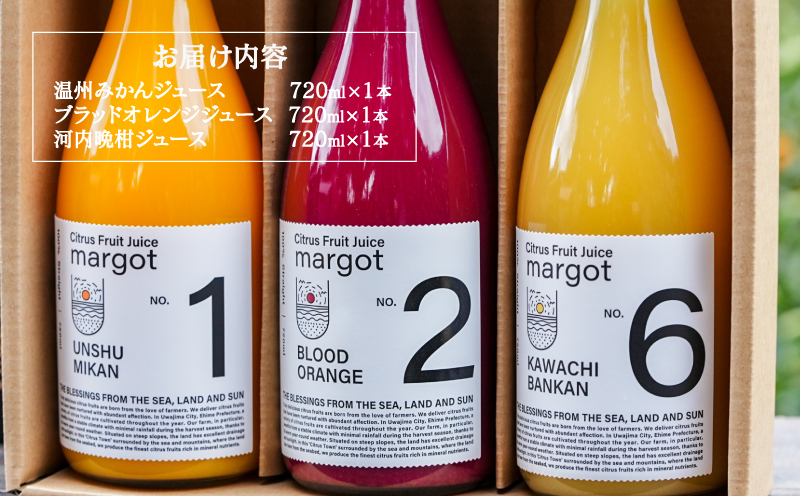 みかんジュース 飲み比べ 3本 セット 720ml × 3本 コルレオファーム シトラスフルーツ 100% ジュース ストレートジュース みかん 温州みかん ブラッドオレンジ 河内晩柑 柑橘 蜜柑 果物 フルーツ 農家直送 産地直送 数量限定 国産 愛媛 宇和島 H018-145016