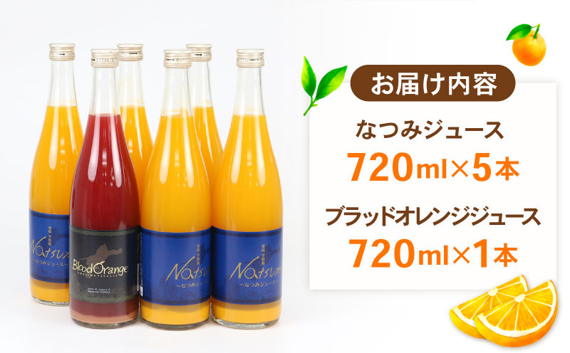 【果汁100%】みかんジュース なつみ ブラッドオレンジ セット 720ml×6本 えひめ南農業協同組合直販センター JA 蜜柑 mikan H020-009009