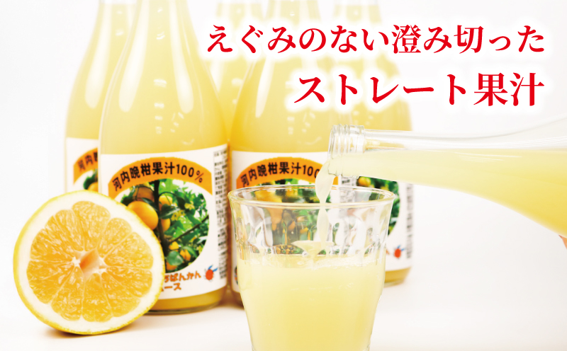 河内晩柑 ストレートジュース 720ml × 6本 陽だまりミカン みかんジュース みかん 蜜柑 mikan フルーツ ジュース 果汁 100% 焼酎割り ソーダ割り 家呑み 飲料 果物 くだもの 国産 愛媛 宇和島 H024-050009