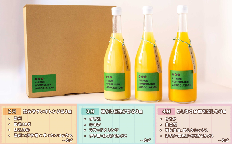 ジュース定期便 3回 720ml × 3本 計9本 セレクト ジュース 柑橘ソムリエ 定期便 みかん定期便 3ヶ月 果汁 飲料 柑橘 みかん mikan 蜜柑 みかんジュース ストレートジュース 100%ジュース 果物 くだもの フルーツ 国産 愛媛 宇和島 H040-064002