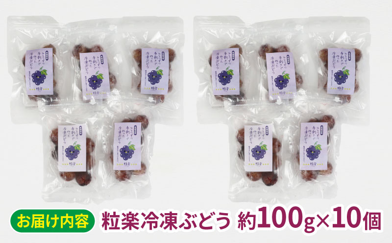 冷凍 ぶどう 1kg (100g 10袋) 粒楽 南四国ファーム シャーベット スムージー ジャム スイーツ デザート 葡萄 種無し フローズン 果物 フルーツ 国産 愛媛 宇和島 J010-035015