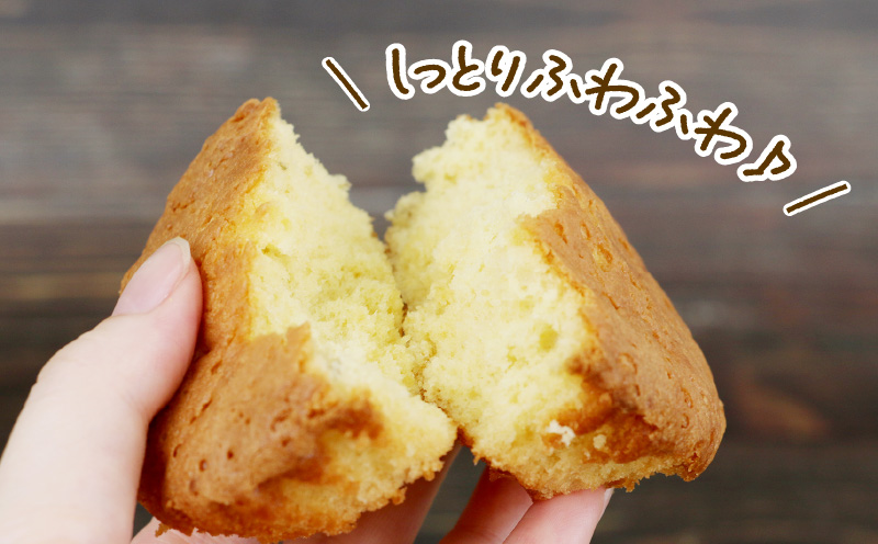 マドレーヌ ブラッドオレンジマドレーヌ 10個 ジュテーム 寿提夢 スイーツ お菓子 デザート おやつ 美味しい ケーキ 焼菓子 スイーツ ブラッドオレンジ オレンジ 卵 焼き菓子 洋菓子 菓子 プレゼント 記念日 国産 愛媛 宇和島 J010-097003