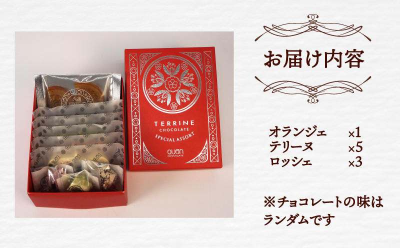 チョコ セット 久遠チョコレート スエヒロハーフBOX テリーヌ ロッシェ オランジェ おまかせ ちょこ ちょこれーと チョコ チョコレート ドライフルーツ フルーツ 果物 くだもの 洋菓子 菓子 焼き菓子 おやつ ギフト プレゼント 愛媛 宇和島 J010-167001