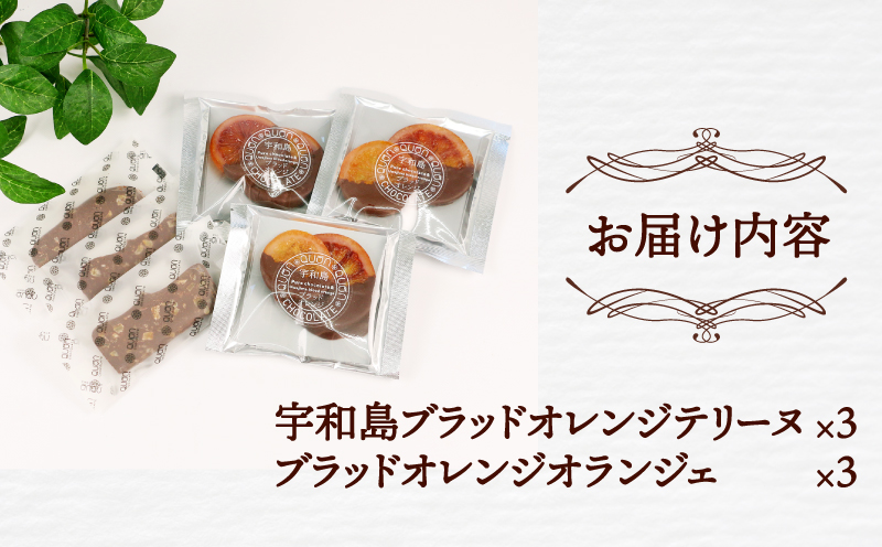 ブラッドオレンジ チョコ セット 久遠チョコレート おすすめ テリーヌ 3枚 オランジェ 3袋 チョコ チョコレート ドライ フルーツ 洋菓子 菓子 お菓子 スイーツ ギフト プレゼント 詰め合わせ 愛媛 宇和島 J010-167005
