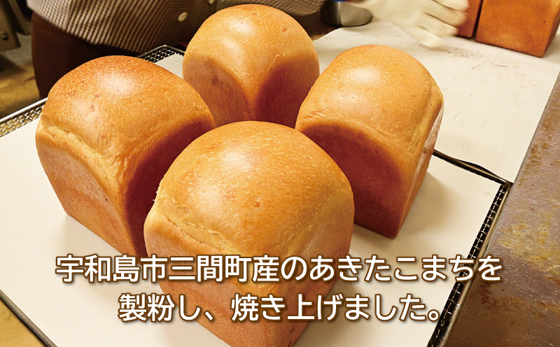 パン 詰め合わせ 定番 おいしい 米粉パン セット 手作りパン工房 みなみ えひめ南農業協同組合 米粉 食パン 1斤 ロールパン 6個 クロワッサン 3個 コッペパン 2個 ぱん パン屋 食べ比べ 食べ比べセット あきたこまち 朝食 モーニング 冷凍 食品 愛媛 宇和島 J010-192001