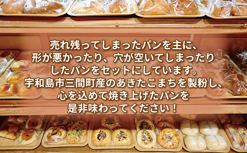 訳あり パン 詰め合わせ 10個 おいしい 米粉パン セット 手作りパン工房 みなみ えひめ南農業協同組合 わけあり 食パン 菓子パン デニッシュパン 総菜パン フランスパン ぱん パン屋 食べ比べ 食べ比べセット あきたこまち 朝食 モーニング 冷凍 食品 愛媛 宇和島 J010-192002