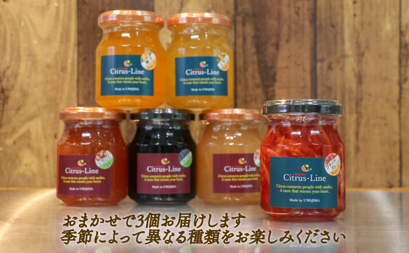ジャム マーマレード 詰め合わせ 130g ×3個 Citrus-Line 食べ比べ セット 果物 くだもの フルーツ 手づくり 金賞 柑橘 みかん 蜜柑 パン ヨーグルト 贈答 プレゼント ギフト 数量限定 国産 愛媛 宇和島 J012-098001